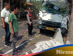 Truk Boks Tabrak Pohon di Jalur Denpasar-Gilimanuk, Sopir Luka