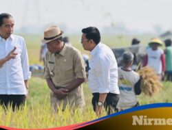 Panen Raya di Subang, Presiden: Diharapkan Tambah Cadangan Beras Kita