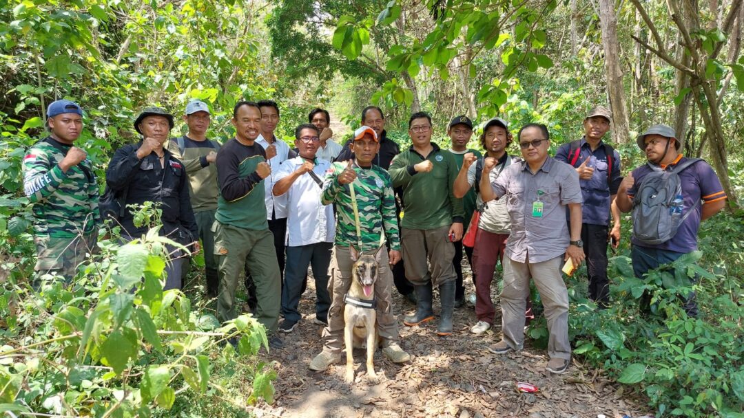 Petugas Intensifkan Patroli Hutan TNBB Pasca Ditemukan Rusa Mati Terjerat