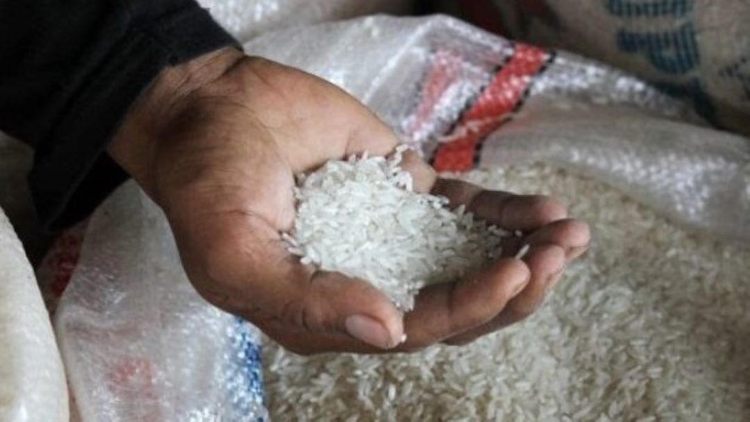 Info Sangat Penting Dan Terbaru Soal Beras, Bagi Seluruh Rakyat Indonesia, Wajib Tahu, Simak