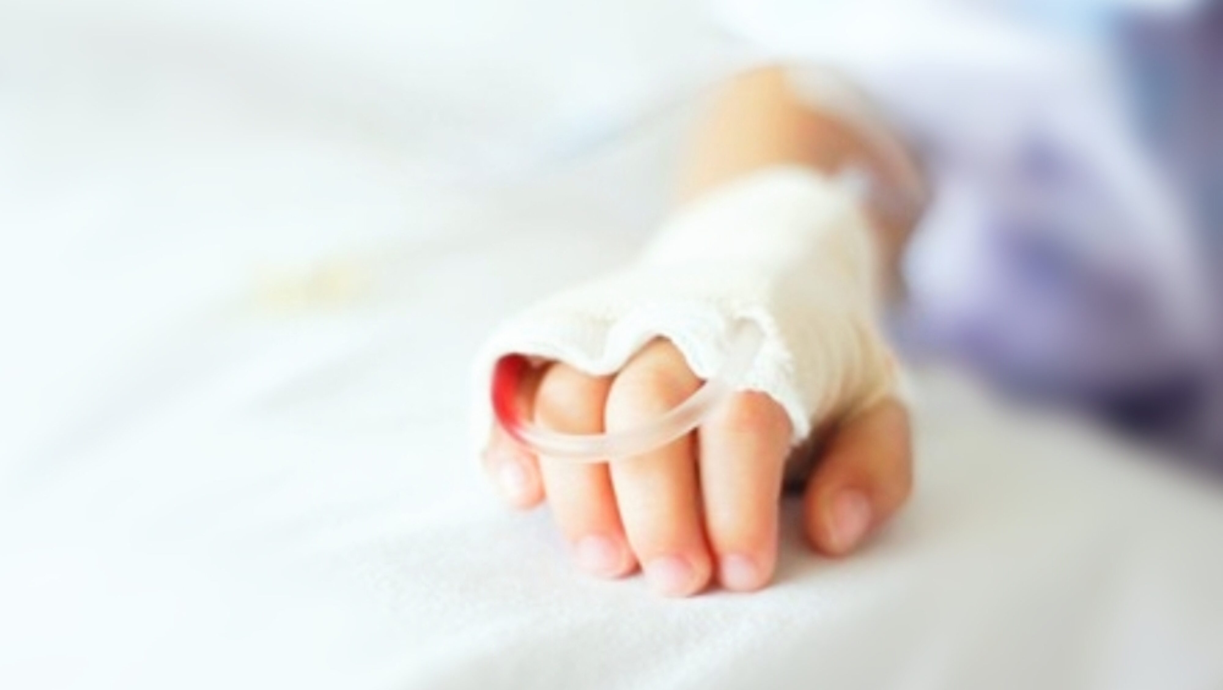 Makanan yang Disantap Warga di Mushola Hingga Keracunan Ternyata Mengandung Bakteri Eschereshia Coli