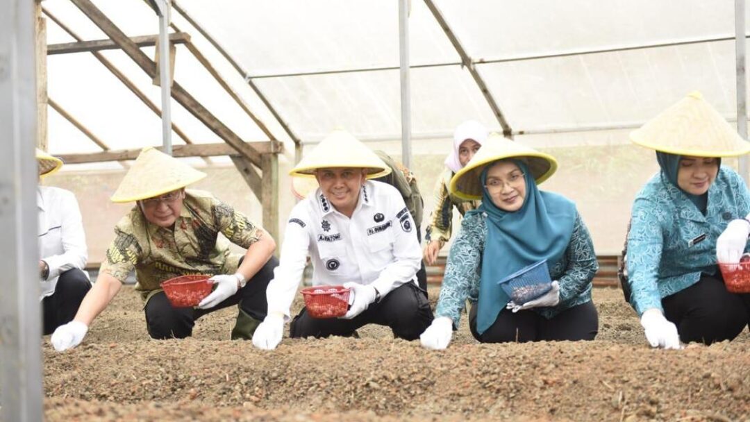 Atasi Inflasi, Pj Gubernur Sumsel Agus Fatoni Tanam Bawang di OKU