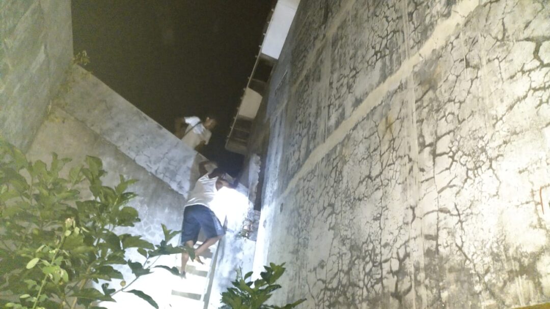 Sempat Buron, Pencuri Sarang Burung Walet Ini Akhirnya Menyerah