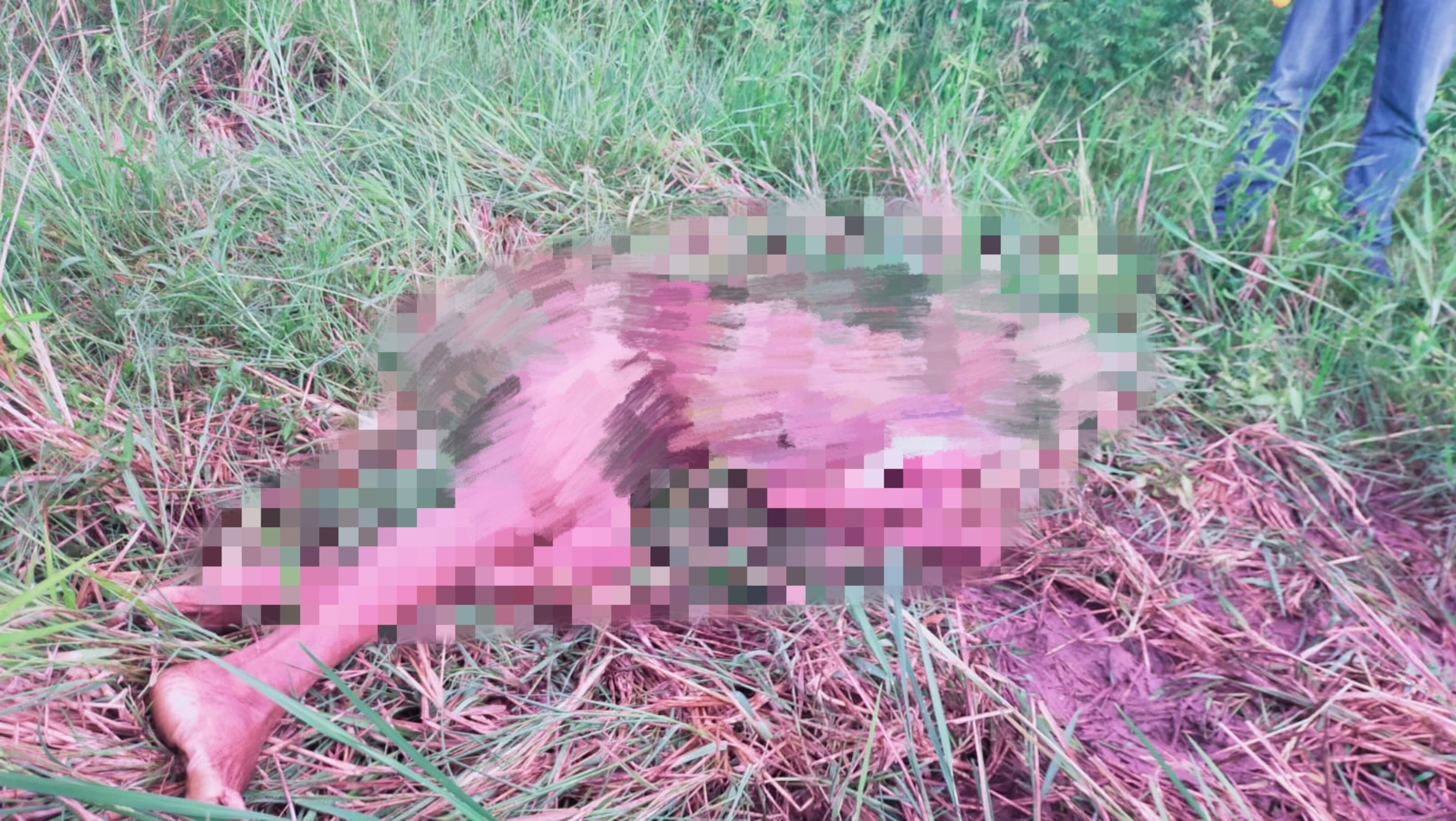 Nenek Ditemukan Meninggal di Tengah Sawah, Diduga Serangan Jantung