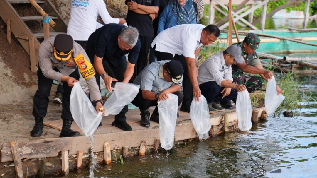 Di Pinrang, Pj Gubernur Sulsel Kunjungi Bangsal Pasca Panen, Tebar Benih Ikan dan Inseminasi Buatan