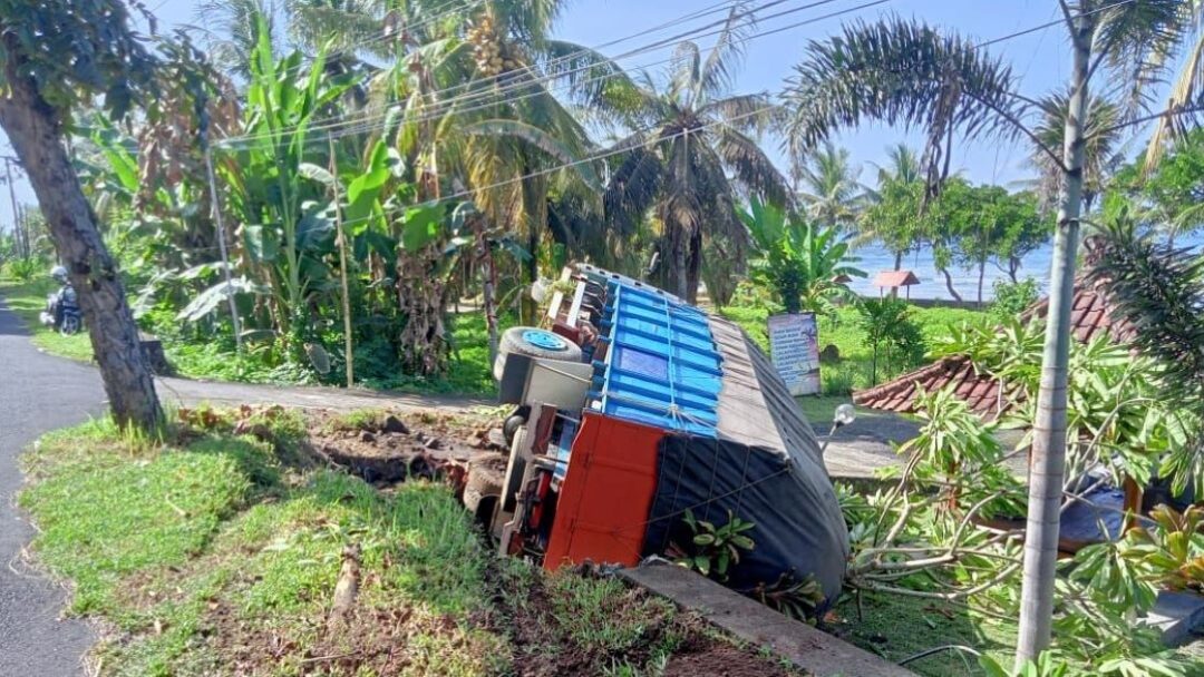 Truk Tertimpa Pohon Kelapa di Jembrana, Sopir dan Penumpang Selamat