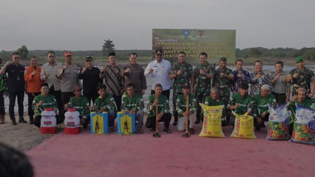 Dukung ‘Semarak Babel’, Pj Gubernur Safrizal Puji Batalyon Infanteri 147/KGJ : Institusi Dengan Penanaman Cabai Terluas