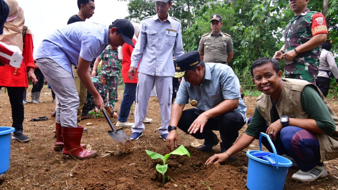 Upaya Pj Gubernur Bahtiar Lestarikan Kawasan Rammang-rammang, Tanam Sukun Hingga Tebar Benih Ikan