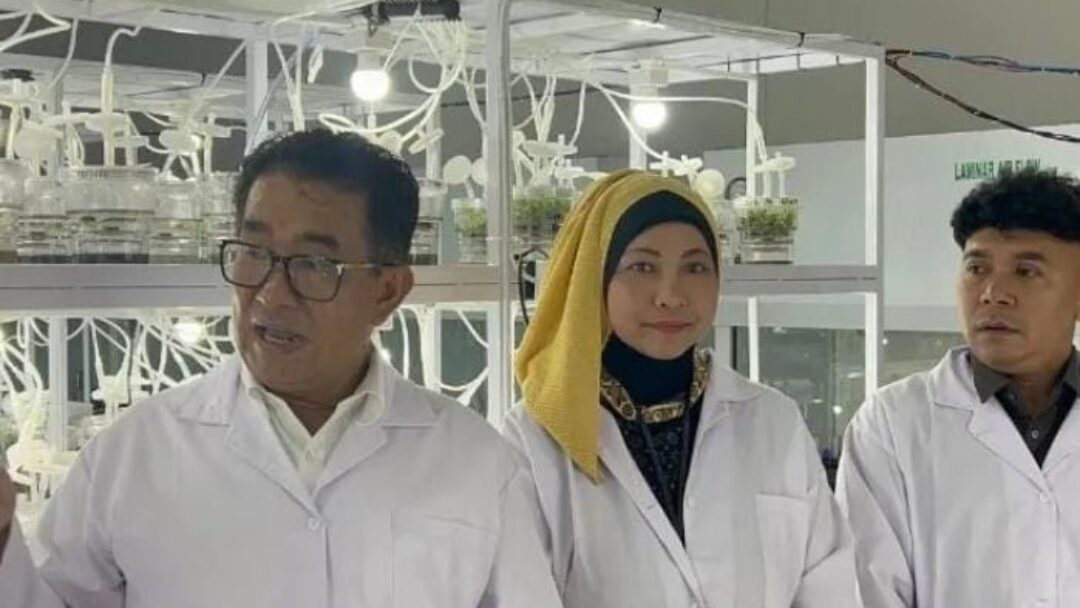 Pj Gubernur Kaltim Dorong Kemandirian Pangan melalui Laboratorium Kultur Jaringan