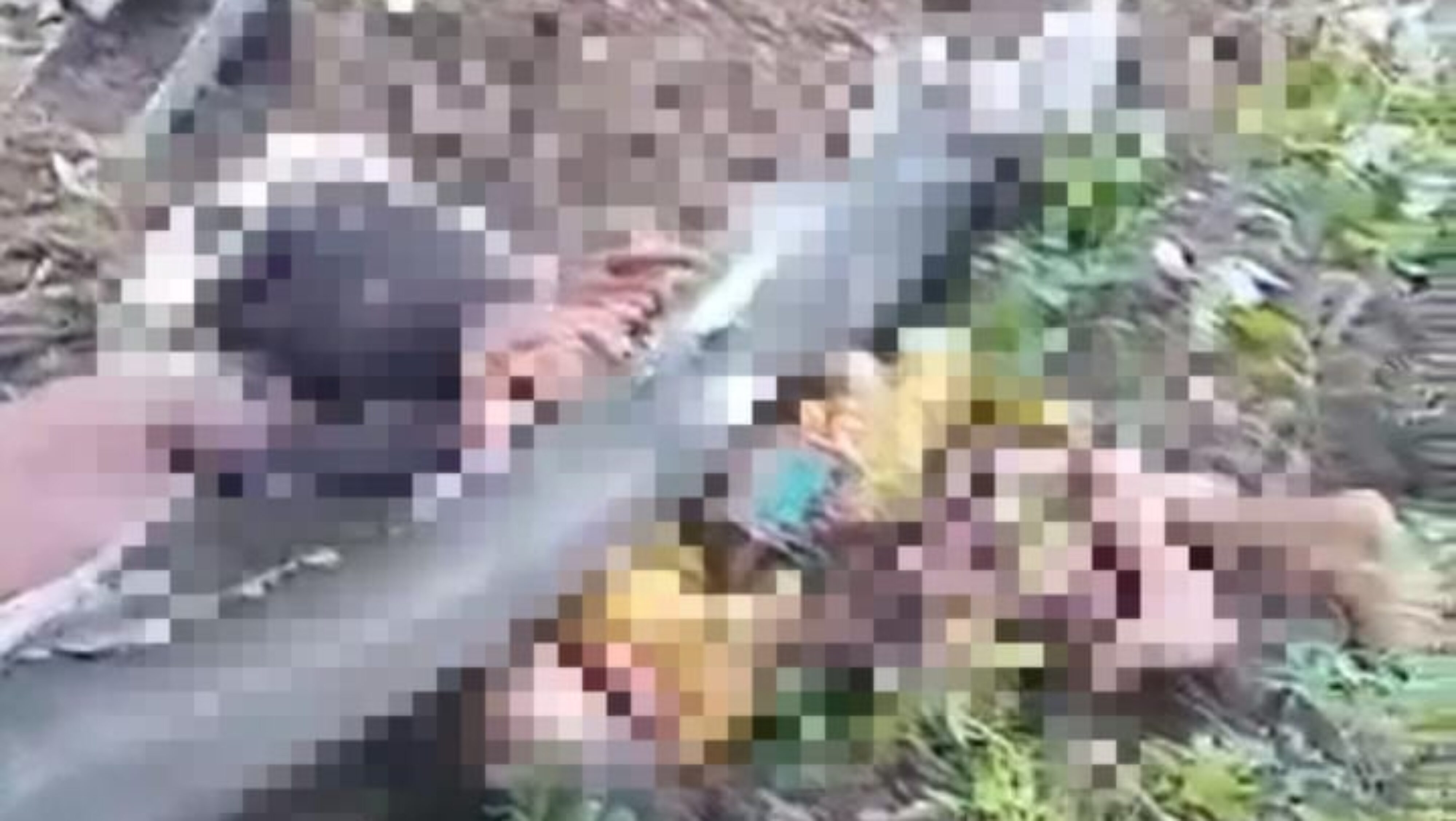 Sambil Menjerit Histeris, Warga Kumpulkan Potongan Tubuh Wanita Tua Korban Kecelakaan Maut