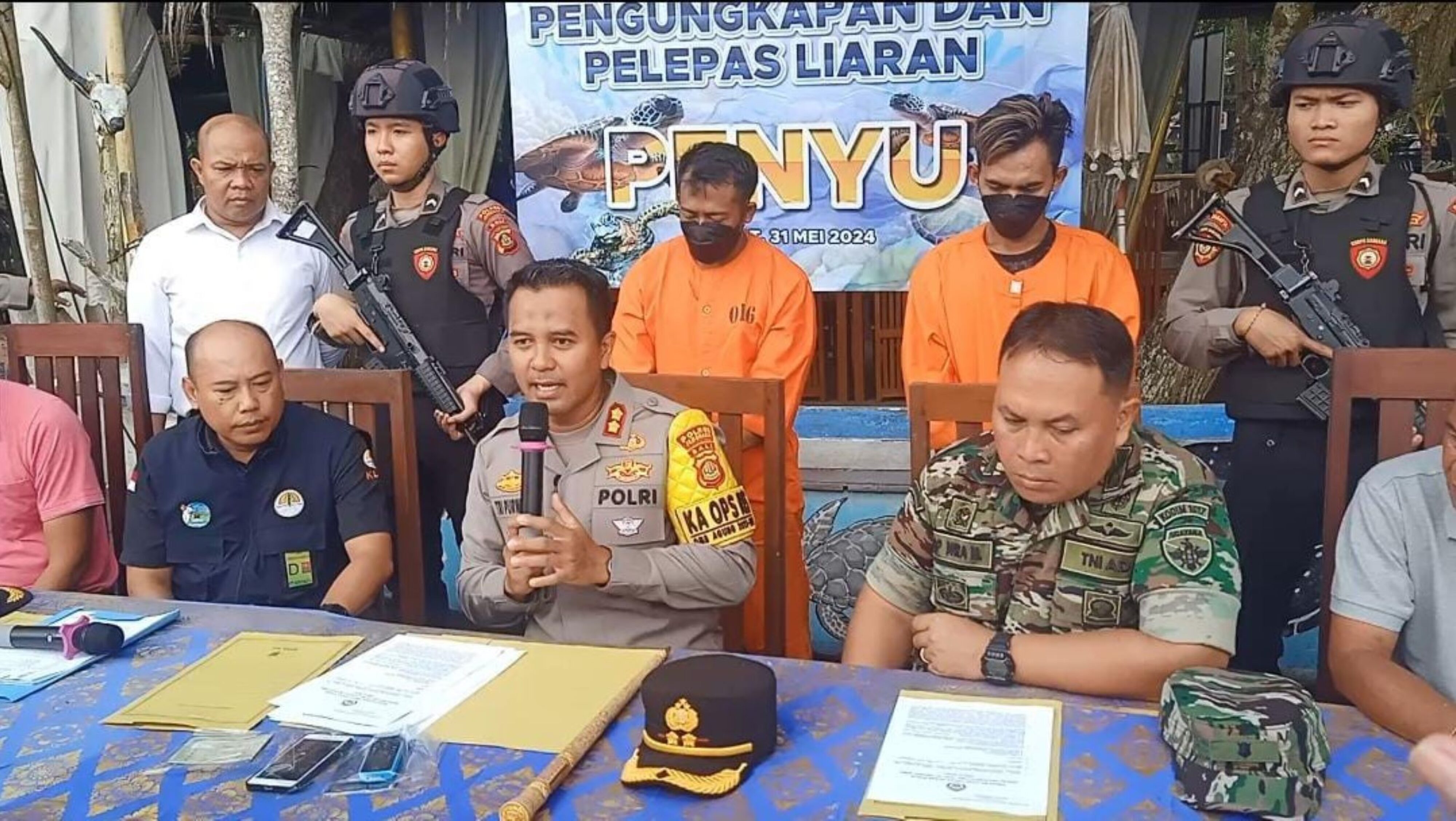 Dua Pelaku Penyelundupan Belasan Penyu Hijau Ditangkap