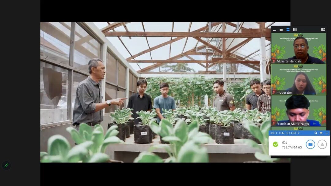 SDM dan Tanah Lelah Jadi Biang Kerok Rendahnya Produktivitas Kakao di Bali