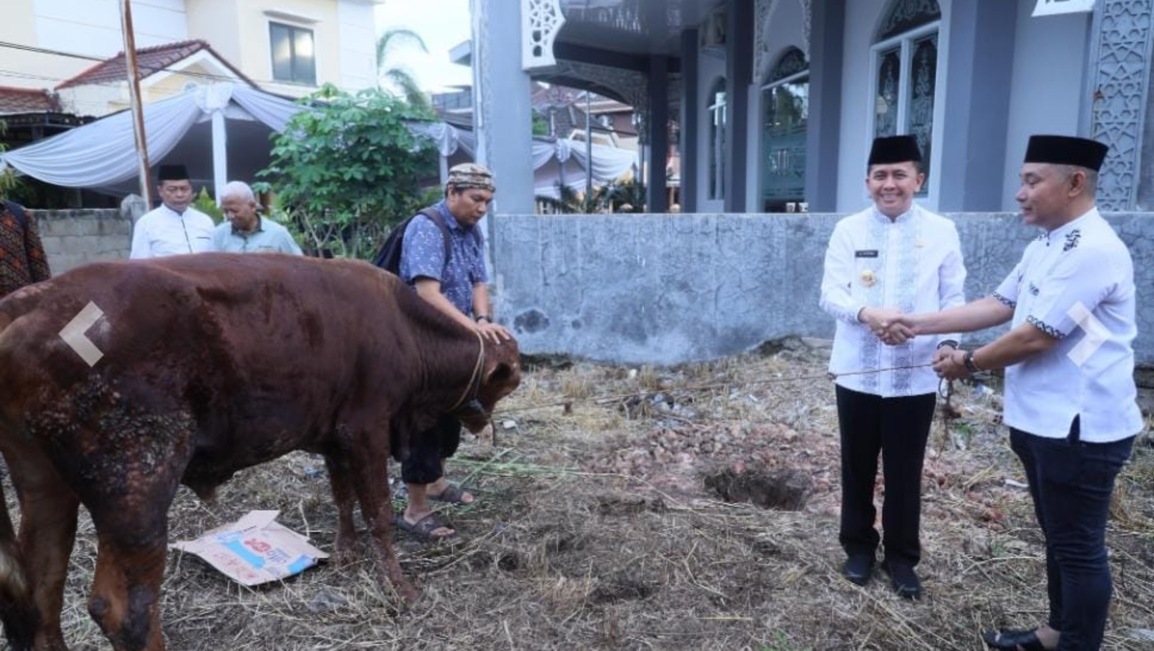 Pj.Gubernur Sumsel Fatoni Buka Gerakan Berkurban Serentak, Terdata 355 Ekor Sapi Diserahkan di Berbagai Masjid di Sumsel