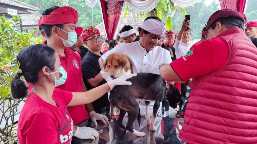 Distan Lakukan Vaksinasi Rabies Darurat Di Berembeng