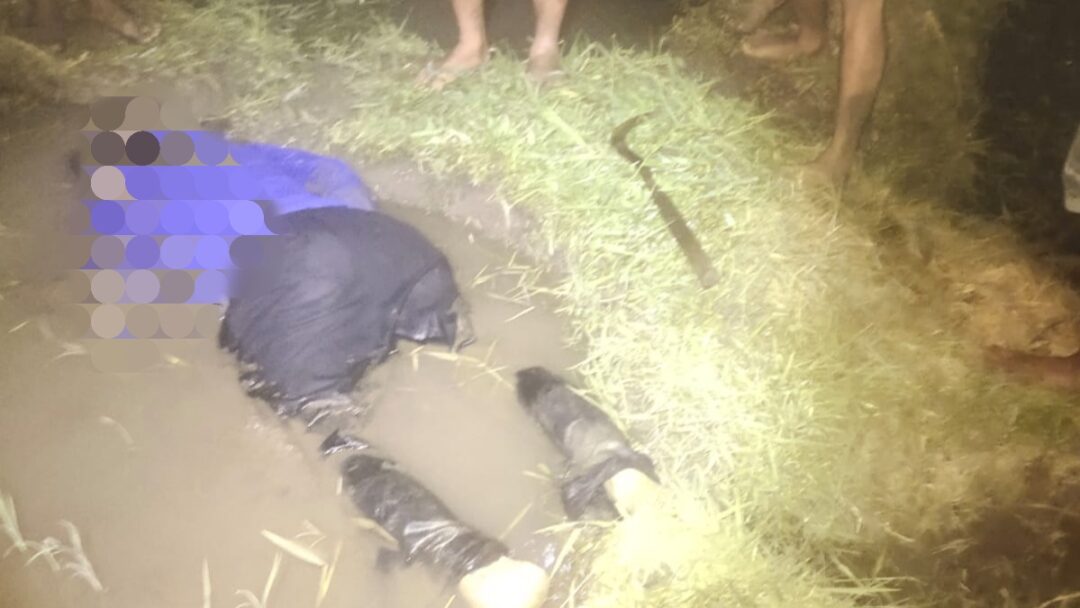 Sosok Mayat Pria Ditemukan di Kubangan Sawah Jembrana