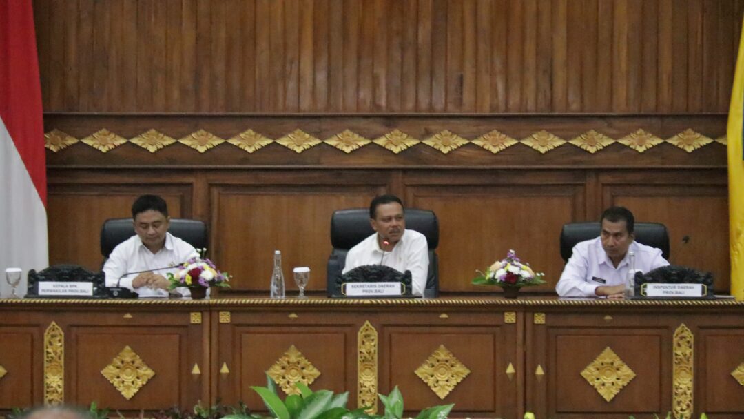 Dewa Made Indra Dorong Audit Keuangan Berbasis Digital