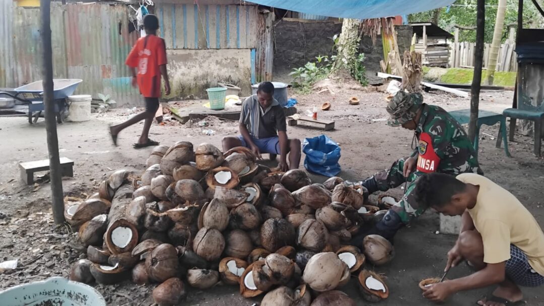 Dukung Ekonomi Warga, Babinsa Bantu Warganya Olah Kelapa Jadi Kopra