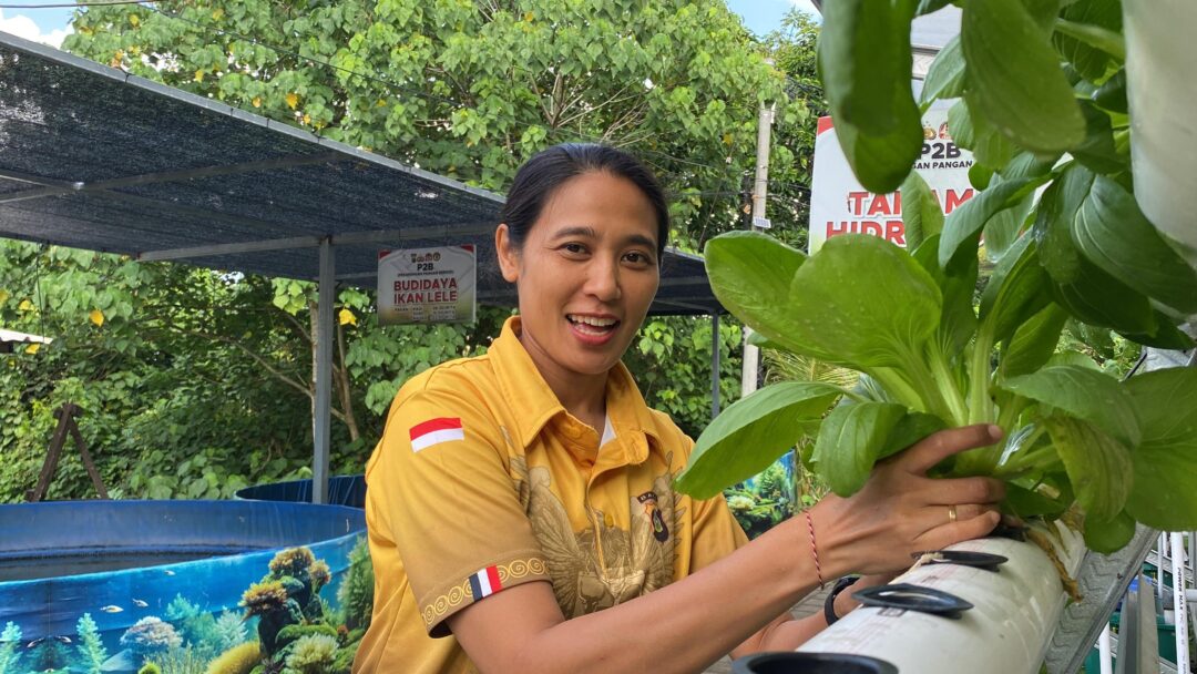 Kapolres Jembrana Panen Telur dan Sayuran di Kebun P2B Polres Jembrana
