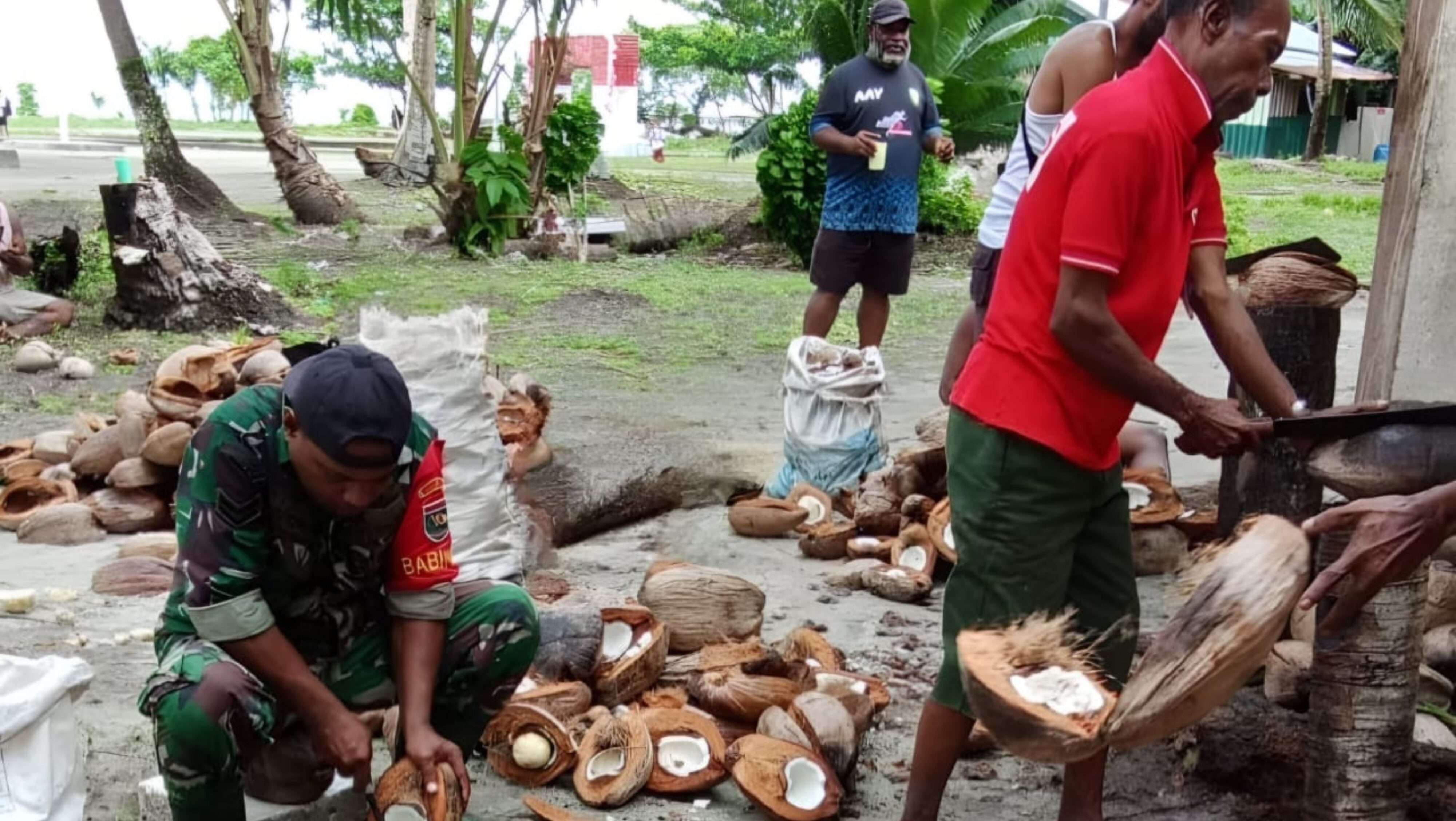 Dukung Peningkatan Ekonomi Warga, Babinsa Bantu Olah Kelapa Jadi Kopra