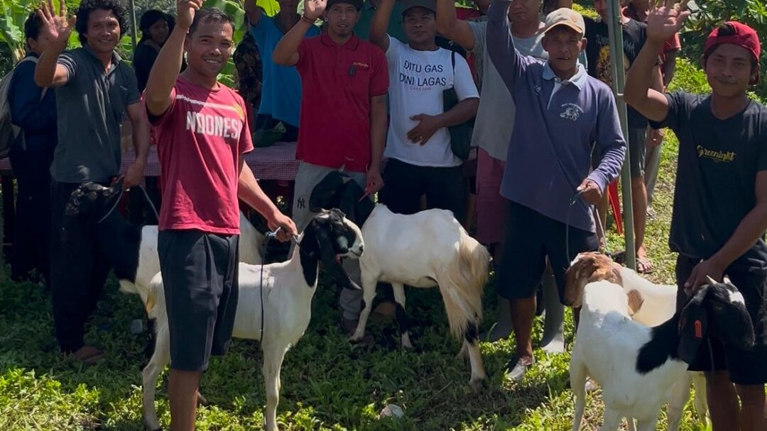Bupati Kembang Suntik Semangat Baru Bagi Kelompok Ternak Di Jembrana