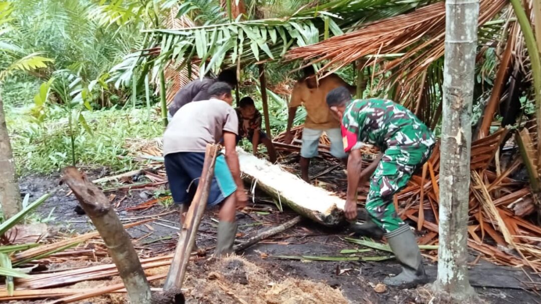Dorong Pelestarian dan Peningkatan Ekonomi, Babinsa Biak Barat Bantu Warga Olah Sagu