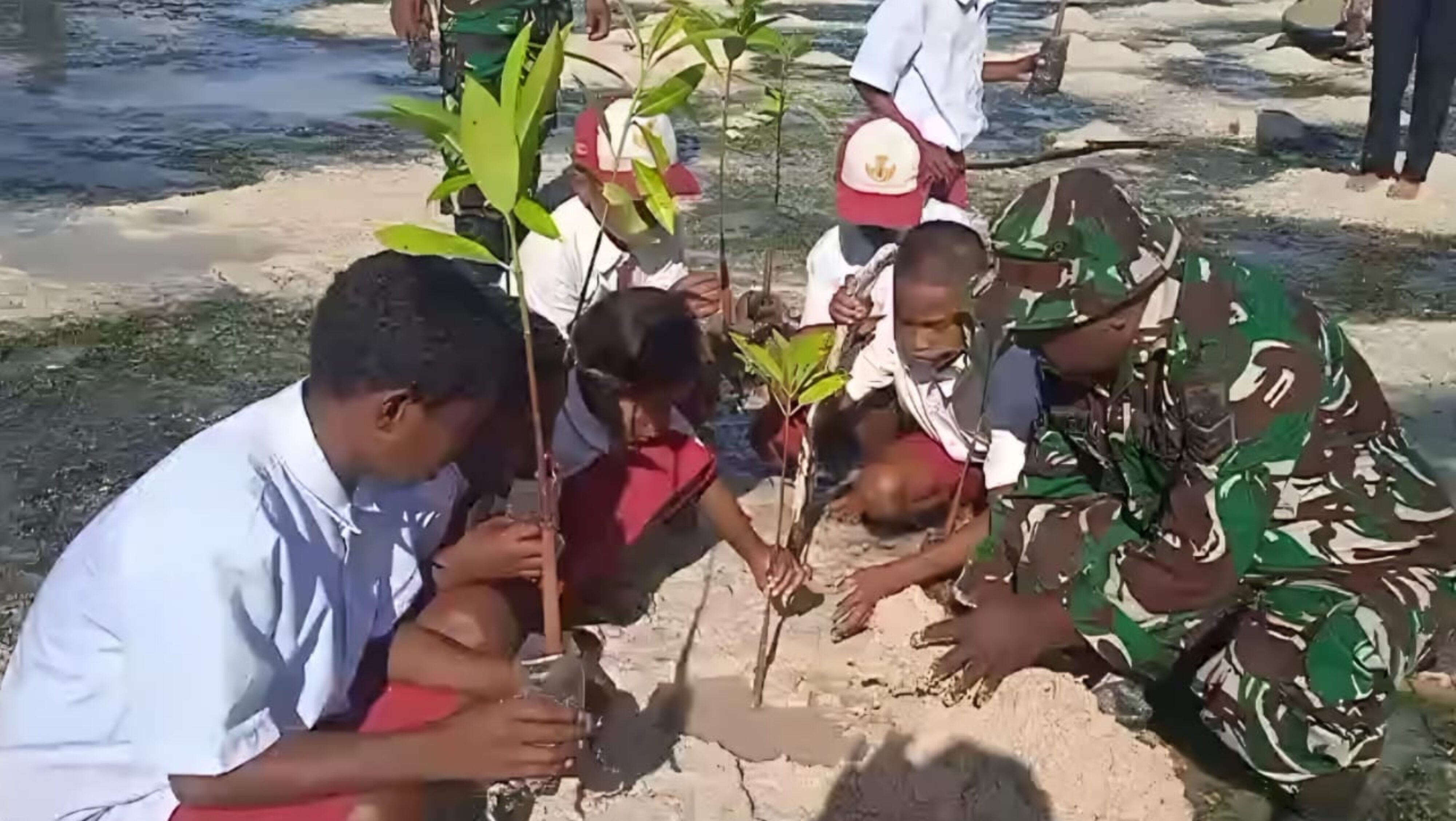 Sambut HUT TNI, Babinsa Pulau Terluar Gandeng Generasi Muda Melestarikan Pesisir dengan Mangrove
