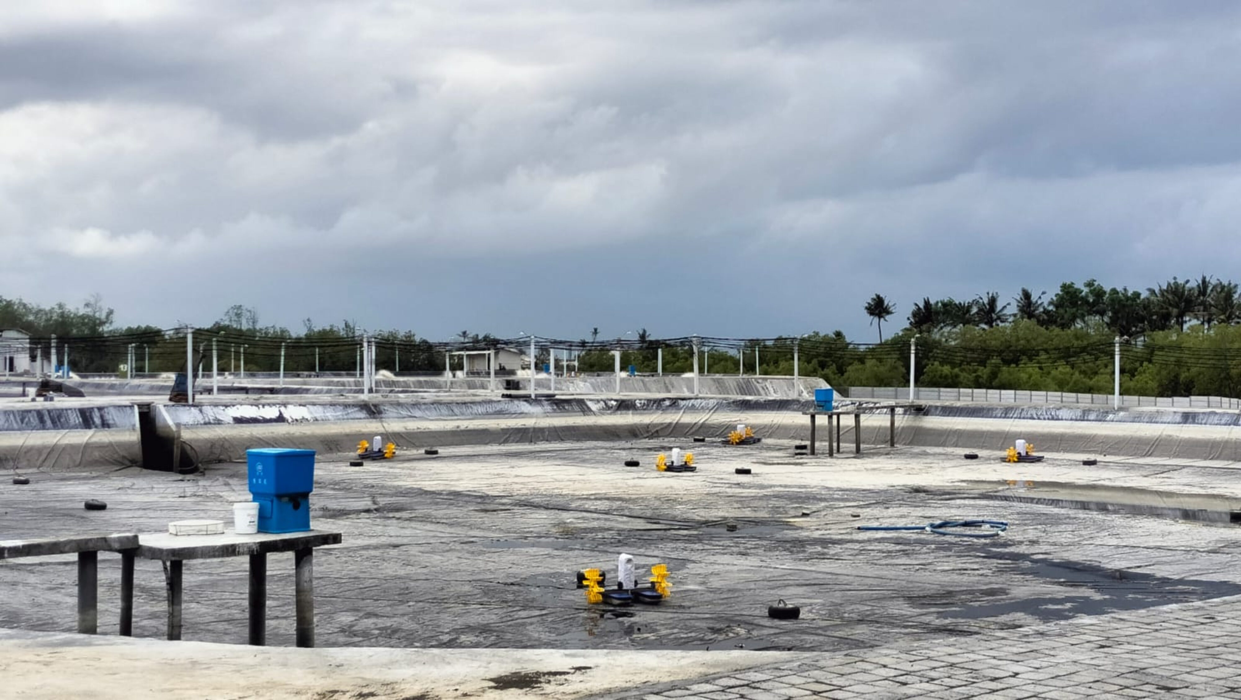 Tambak Megah Berdiri di Atas Tanah Tanpa Sertifikat, Perbekel Penyaringan Enggan Berkomentar, Ada Apa?
