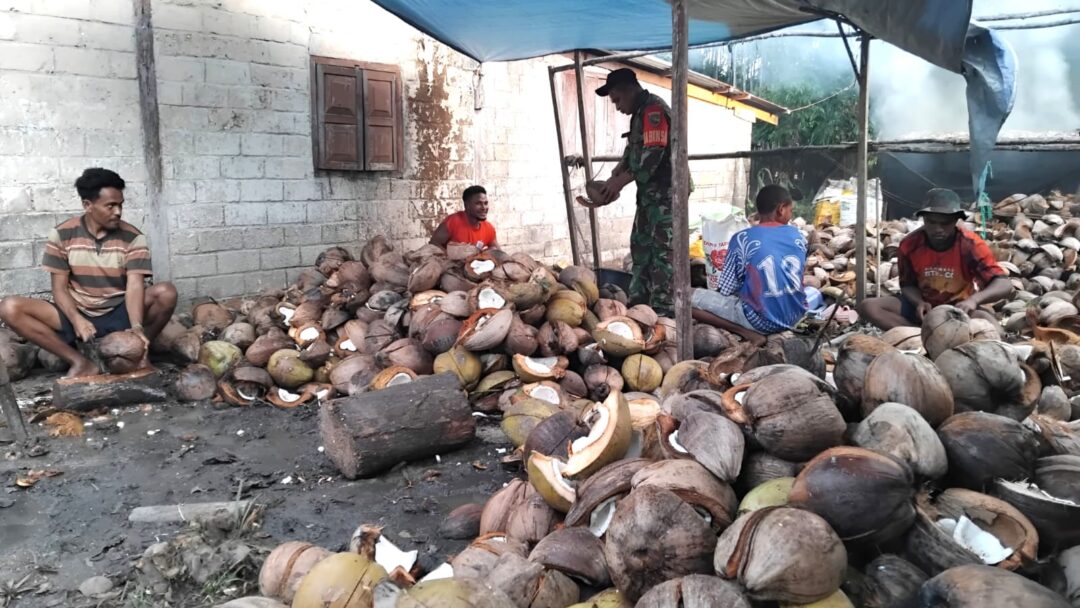 Dukung Peningkatan Ekonomi, Babinsa Bantu Warga Olah Kelapa Jadi Kopra