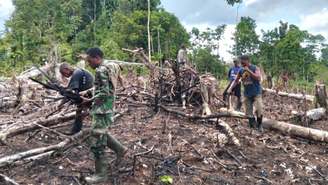 Tingkatkan Hampangan, Babinsa Biak Utara dan Warga Gotong-Royong Buka Lahan Kebun