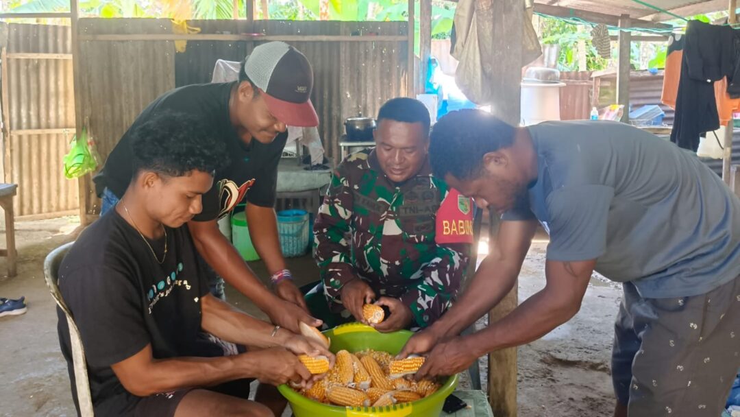 Jaga Kemandirian Pangan, Babinsa Bantu Warga Binaannya Memipil Jagung