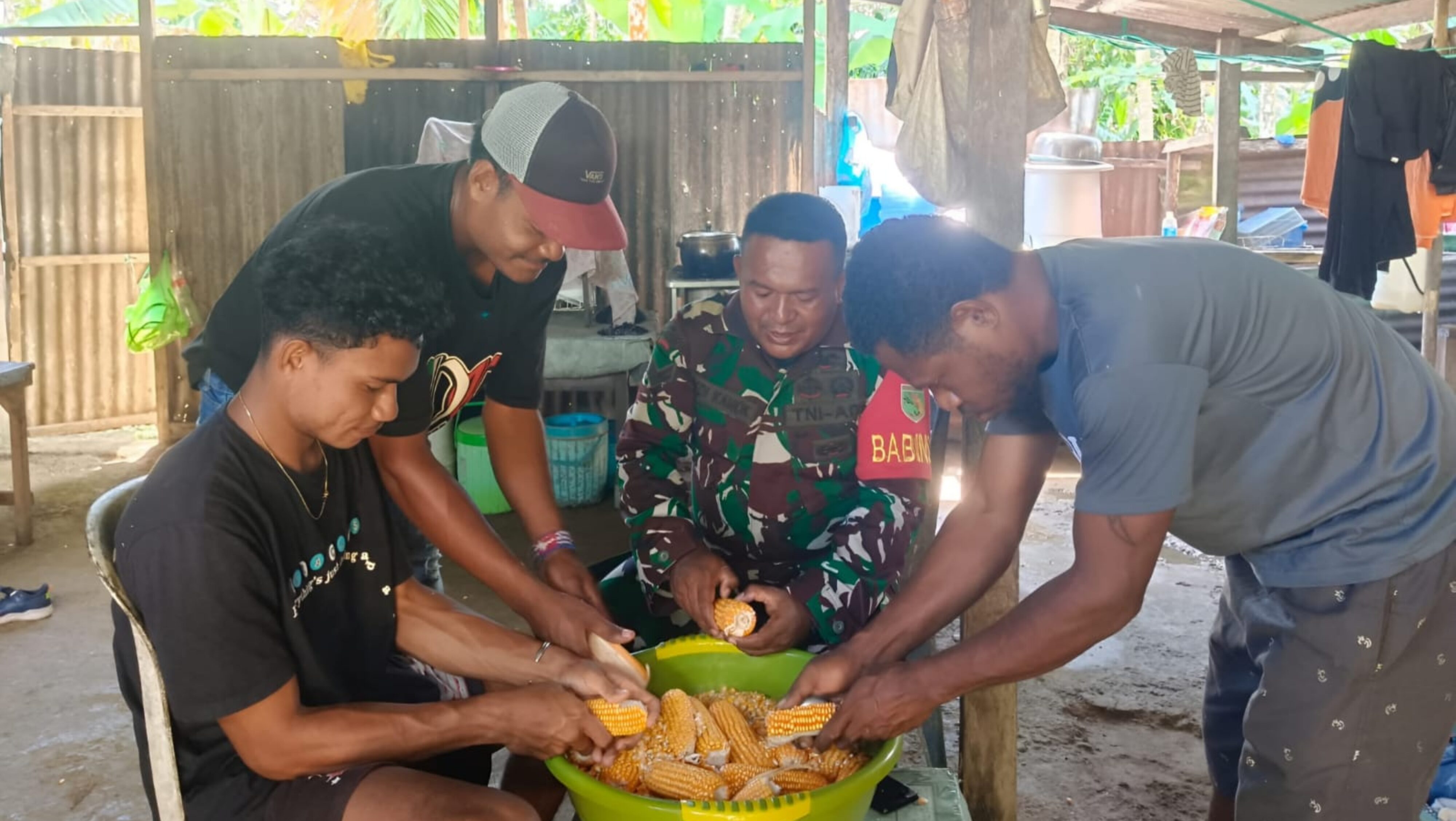Jaga Kemandirian Pangan, Babinsa Bantu Warga Binaannya Memipil Jagung