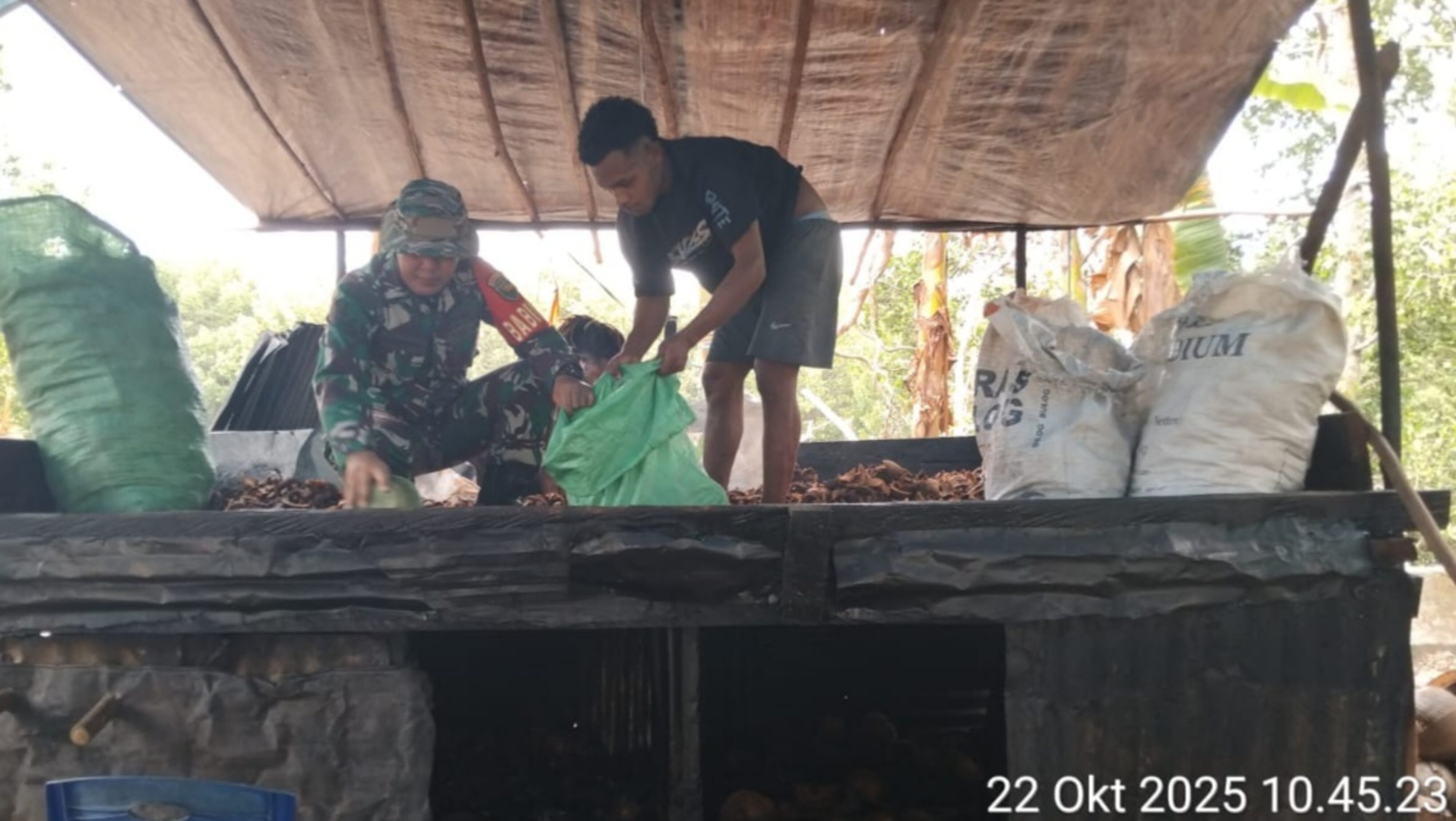 Babinsa Numfor Turun Langsung Bantu Warga Angkat Kopra
