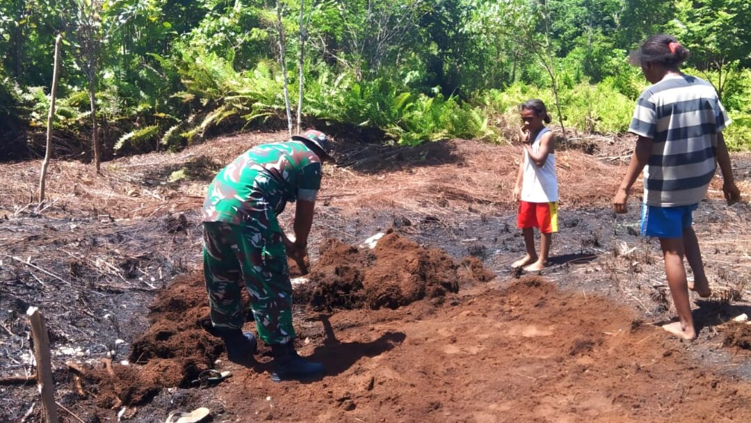 Dorong Kemandirian Pangan, Babinsa Warsa Bantu Petani Olah Lahan