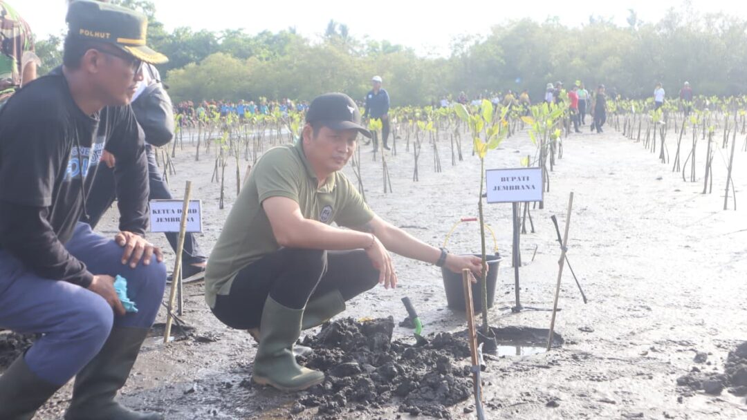 Jembrana Bergerak! Ribuan Peserta Sukseskan ‘Gotong Royong Semesta Berencana’ Dengan Penanaman Pohon Dan Bersih Sungai