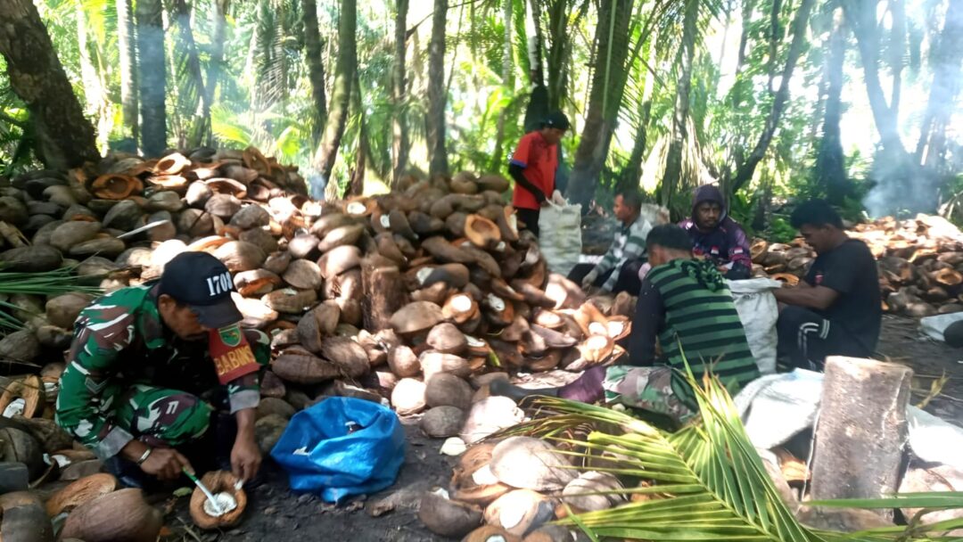 Dukung Kegiatan Natal, Babinsa dan Jemaat GKI Bethesda Gotong-Royong Olah Kopra