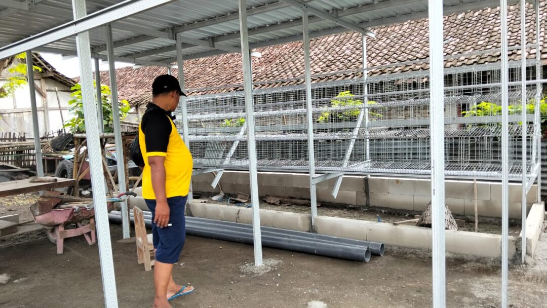 Pemdes Ngepeh Bangun Peternakan Ayam Petelur Untuk Perkuat Ketahanan Pangan Desa