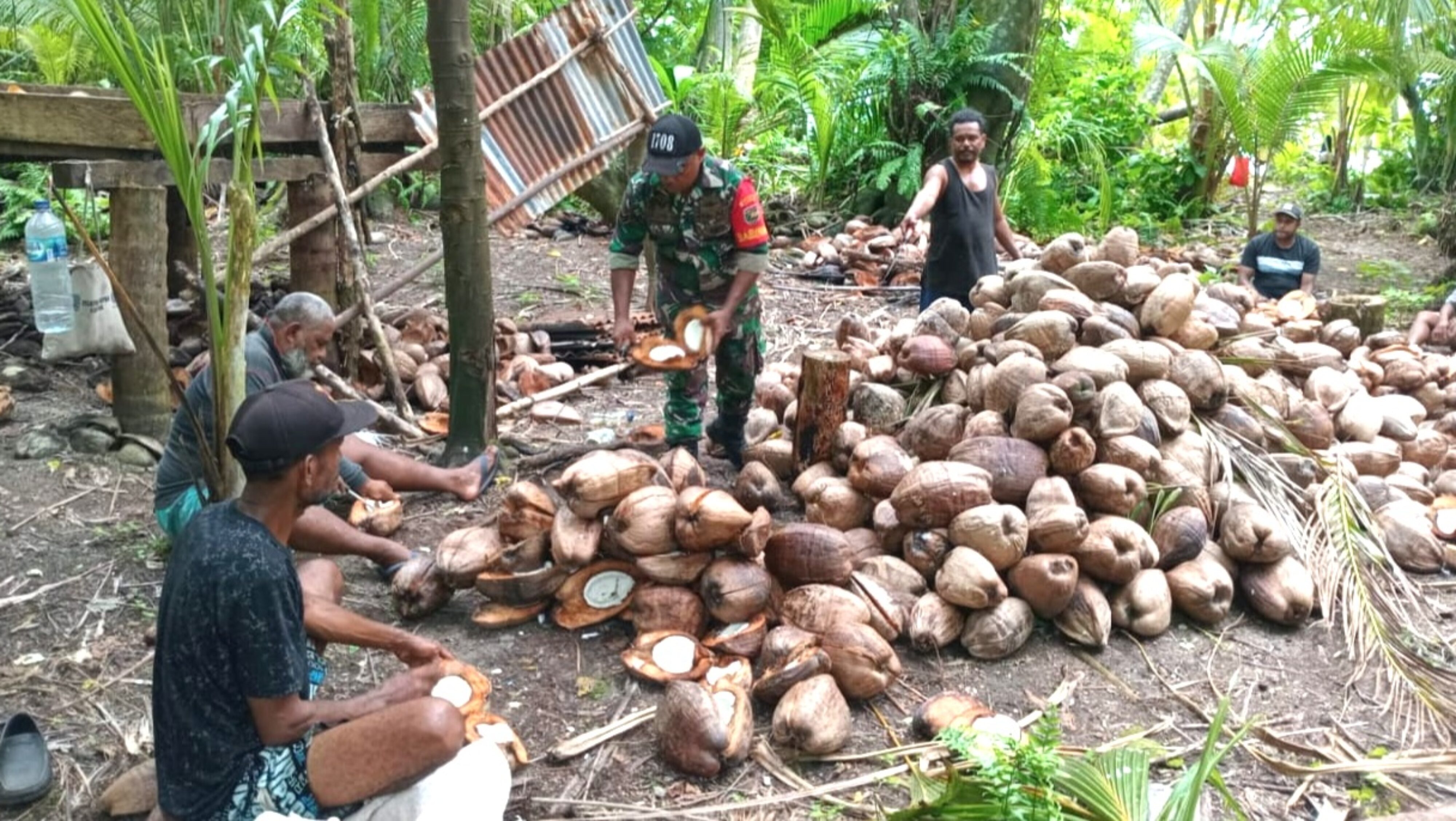 Dukung Ekonomi Warga, Babinsa Supiori Utara Bantu Olah Kelapa Jadi Kopra