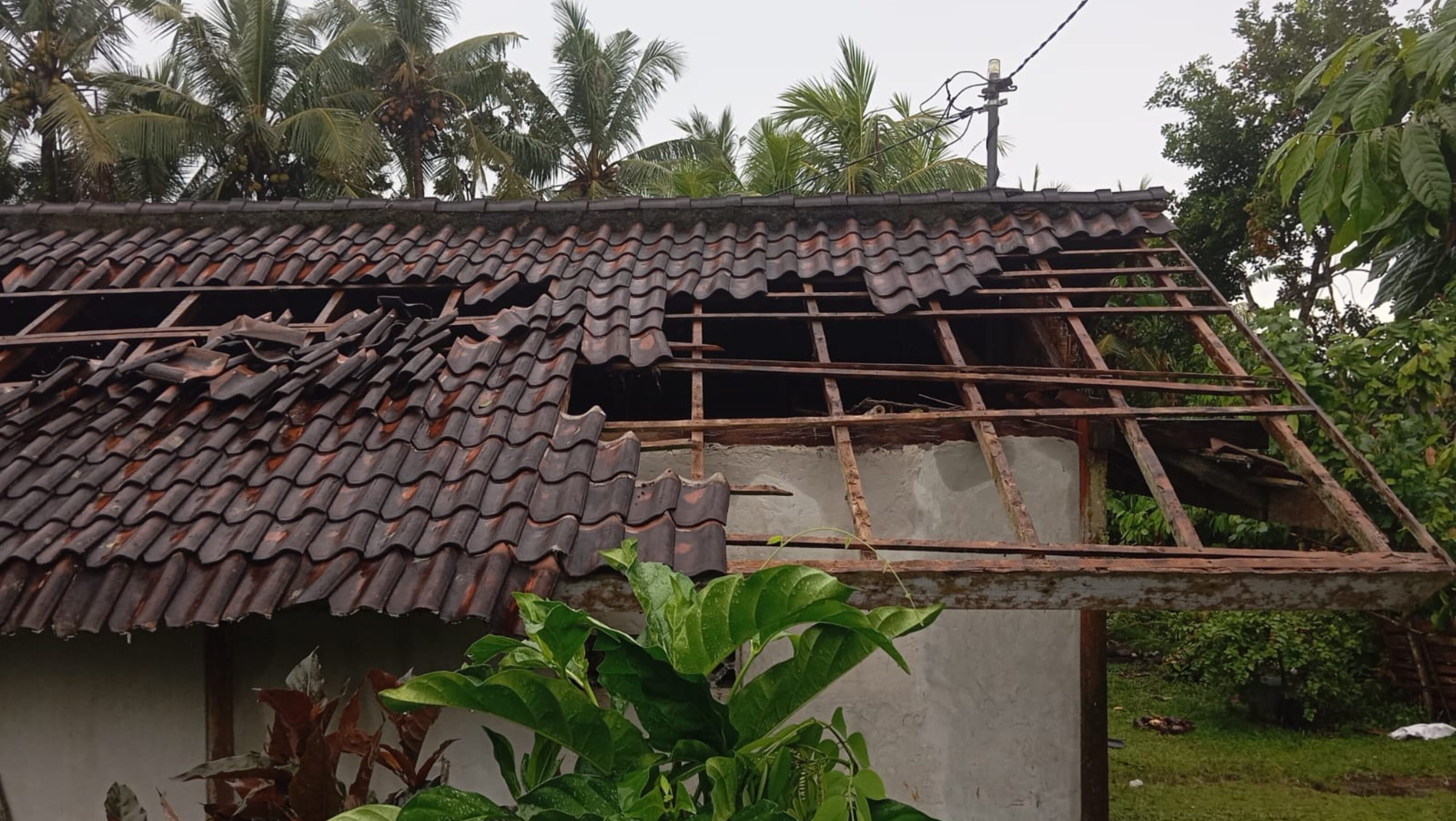 Puting Beliung Terjang Jembrana: Puluhan Rumah Rusak dan Tempat Suci Roboh