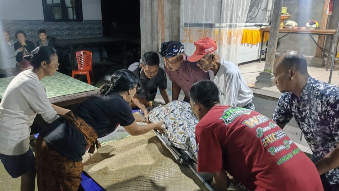 Tragis! Pasutri di Jembrana Diserang Kawanan Tawon Hingga Tewas