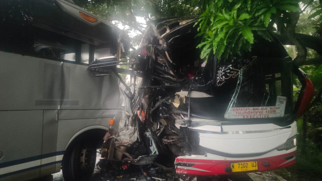 Adu Jangkrik Bus M Trans vs DeBe Trans di Jalur Maut Jembrana, Dua Orang Dilarikan ke RS
