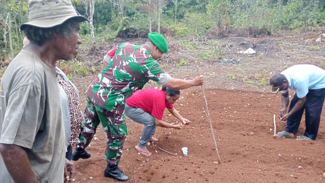 Dukung Hanpangan, Babinsa Biak Kota Bantu Warga Kampung Kababur Tanam Sayur