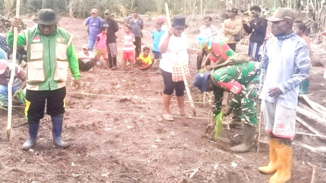 Dukung Swasembada Pangan Nasional, Babinsa Warsa Dampingi Koptan Tanam Padi Gogo