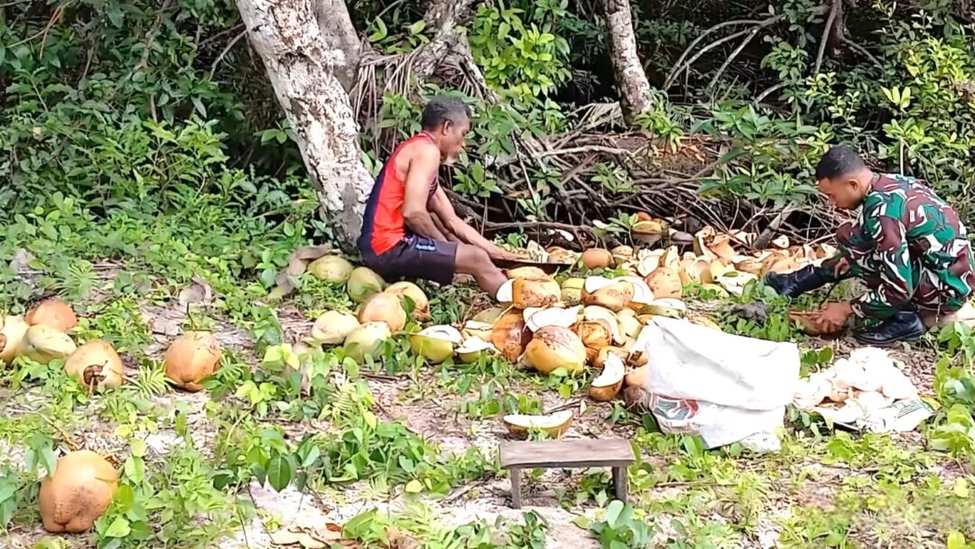 Dorong Ekonomi Keluarga, Babinsa Bantu Warga Belah Kelapa untuk Dijadikan Kopra