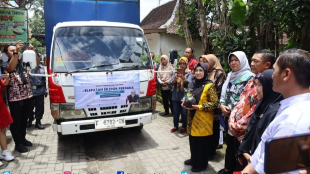 Dari Dapur Sederhana Ke Pasar Dunia, Keripik Tempe Magetan Resmi Ekspor Ke Maldives
