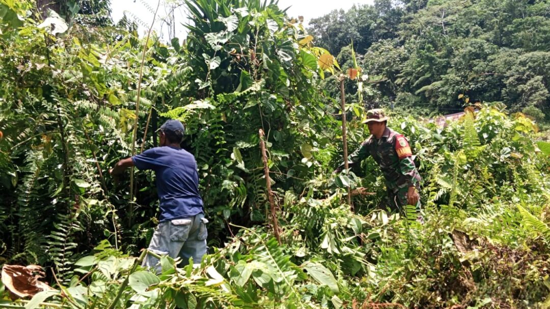 Dorong Kemandirian Pangan, Babinsa Bantu Warga Buka Lahan Pertanian