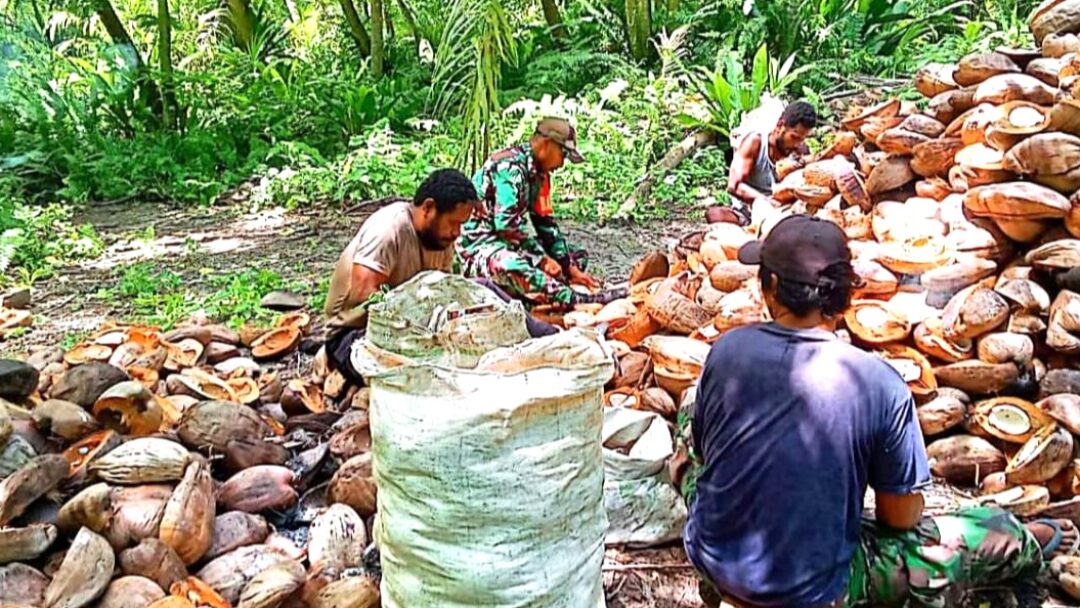 Kebersamaan Babinsa Kepulauan Mapia dan Warga dalam Pembuatan Kopra