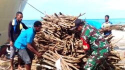 Semangat Kebersamaan, Babinsa Bantu Jemaat Angkut Kayu di Pelabuhan Numfor