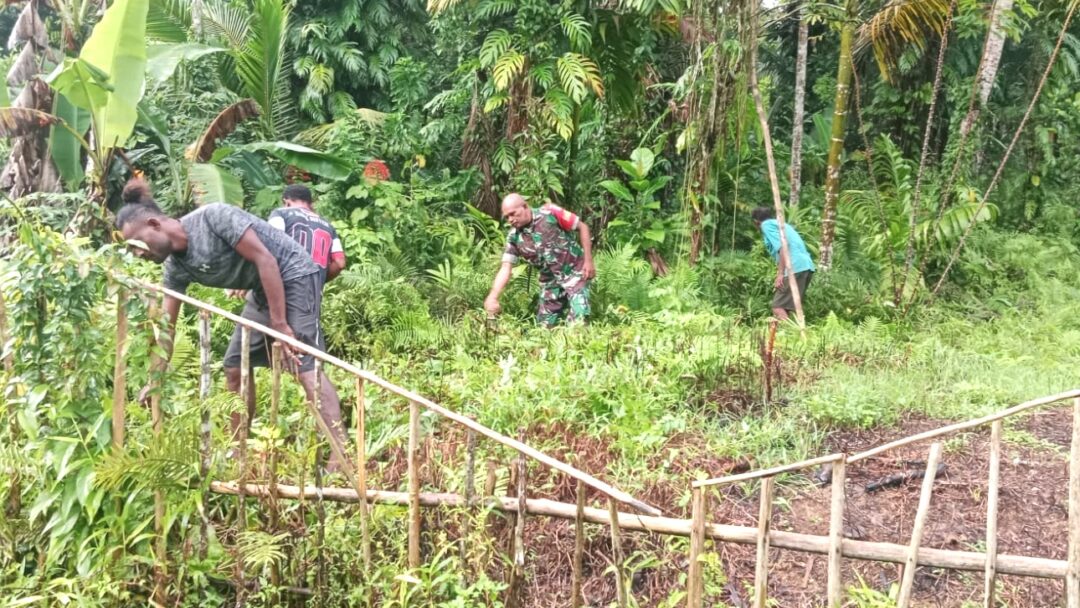 Babinsa Biak Barat Bantu Warga Bersihkan Kebun di Kampung Sarwa