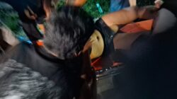 Apes! Terduga Begal Paha Nyungsep Masuk Parit Usai Beraksi di Jembrana