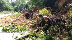 Sigap dan Tanggap, Babinsa Bersama Warga Bersihkan Pohon Tumbang Tutupi Akses Jalan